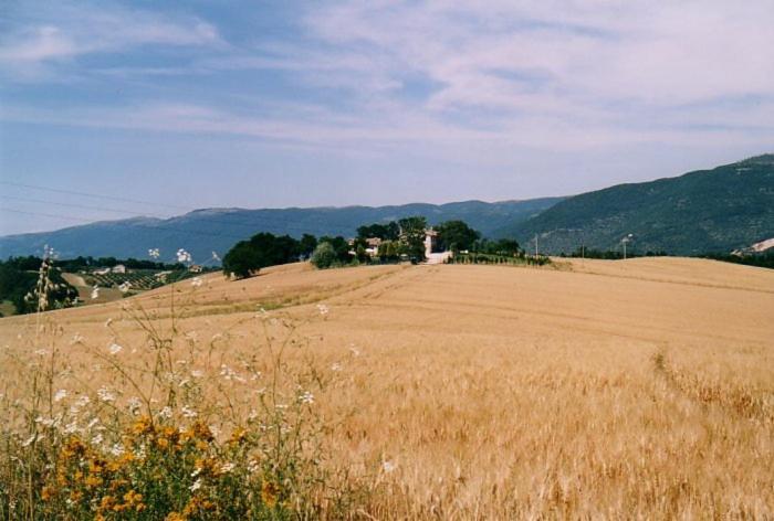 Casale Santomanno Acquasparta Exterior foto