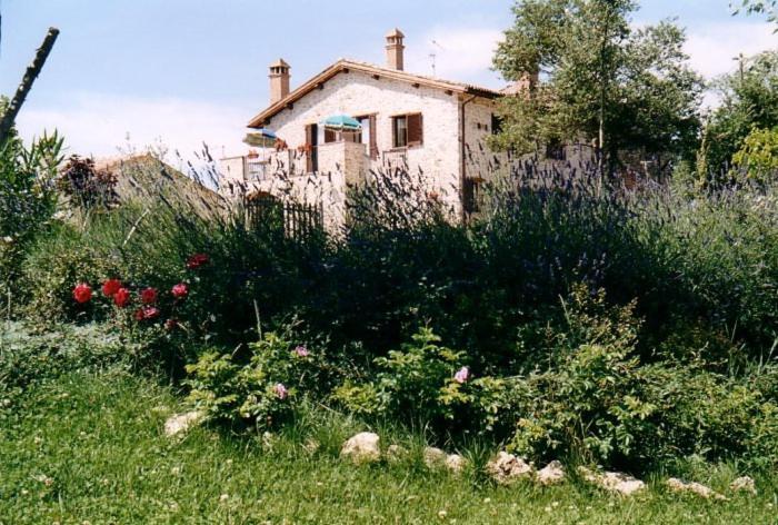 Casale Santomanno Acquasparta Exterior foto